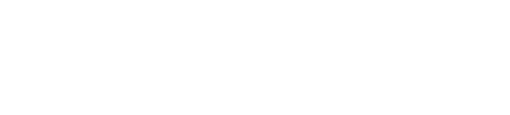 Audidev